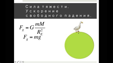 Позиция тела и силы гравитации