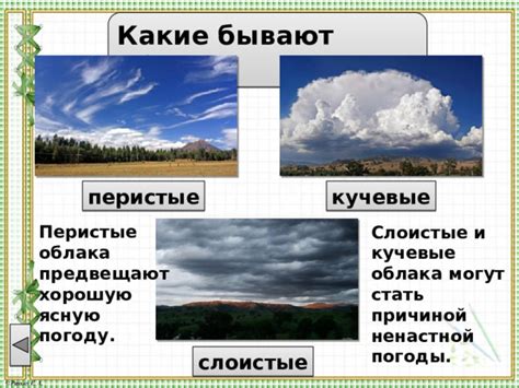 Познакомьтесь с признаками природы, которые предвещают хорошую погоду