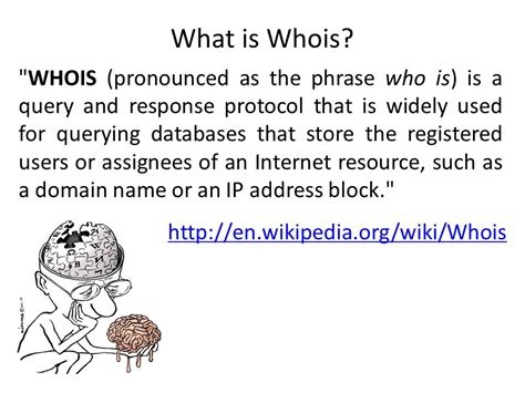 Поиск домена через WHOIS базу данных