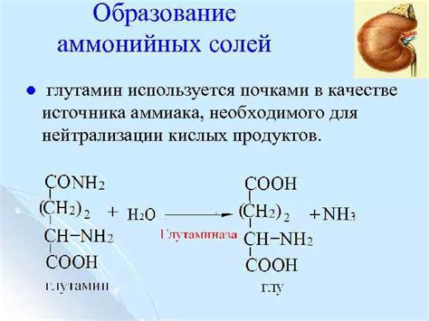 Поиск источника аммиака