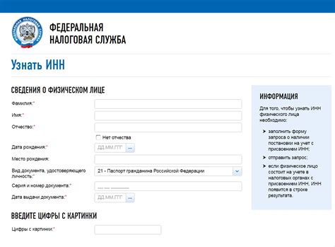 Поиск на сайте налоговой службы: доступная информация