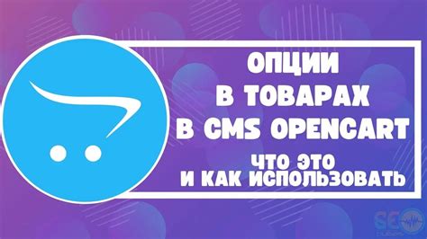 Поиск опции CMS