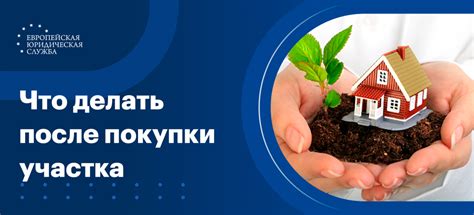 Поиск покупателя для земельного участка