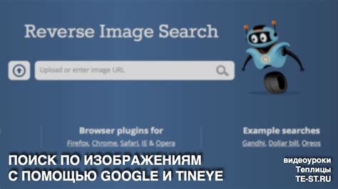 Поиск по изображениям и видео в поисковой строке Google: возможности и особенности