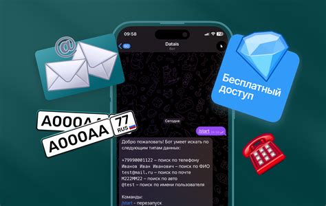 Поиск по номеру телефона или никнейму