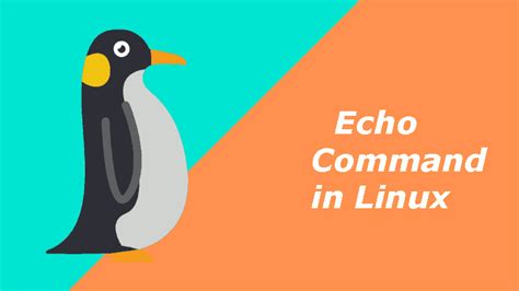 Поиск GOPATH в Linux с помощью команды echo