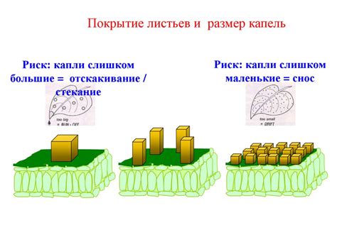 Покрытие листьев специальными препаратами