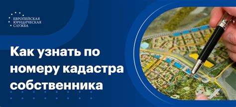 Полезная информация по поиску собственника по кадастровому номеру