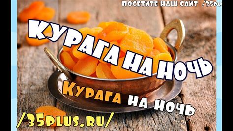 Полезные аспекты употребления кураги на ночь