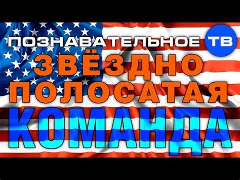 Полезные видеоролики