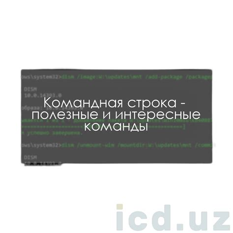 Полезные команды для сытости