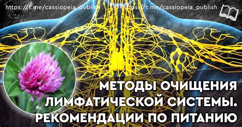 Полезные рекомендации для очищения дофаминовой системы