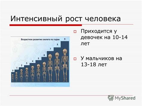 Полезные рецепты, способствующие увеличению роста