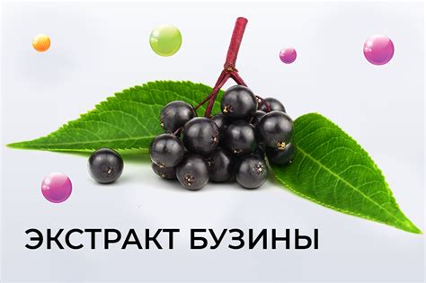 Полезные свойства Роллтона