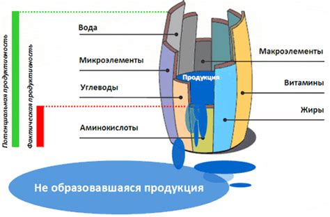 Полезные свойства и состав бочки Либиха