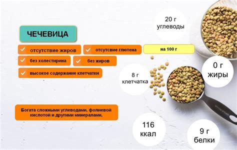 Полезные свойства коричневой чечевицы и ее влияние на организм