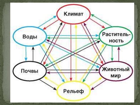 Полезные свойства природных компонентов для обертывания