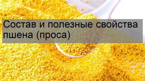 Полезные свойства пшена для птичьей команды