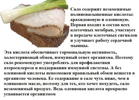 Полезные свойства сала с прослойкой вареного мяса