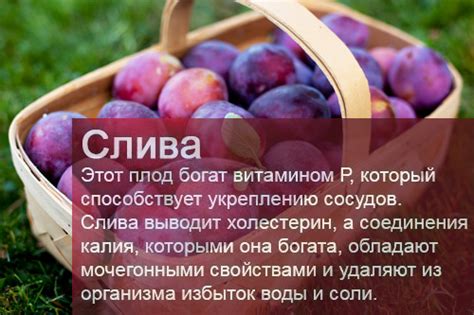 Полезные свойства слив