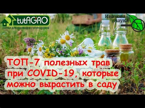 Полезные советы для избежания этих проблем: