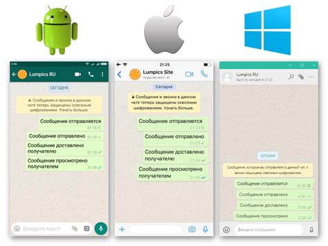 Полезные советы для использования галочек в WhatsApp