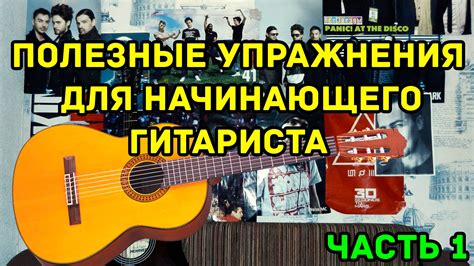 Полезные советы для начинающего гитариста