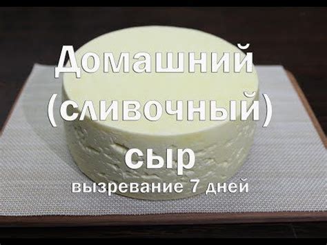 Полезные советы для начинающих сыроделов