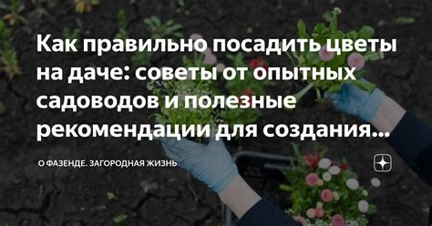 Полезные советы для освоения идеологии колеса