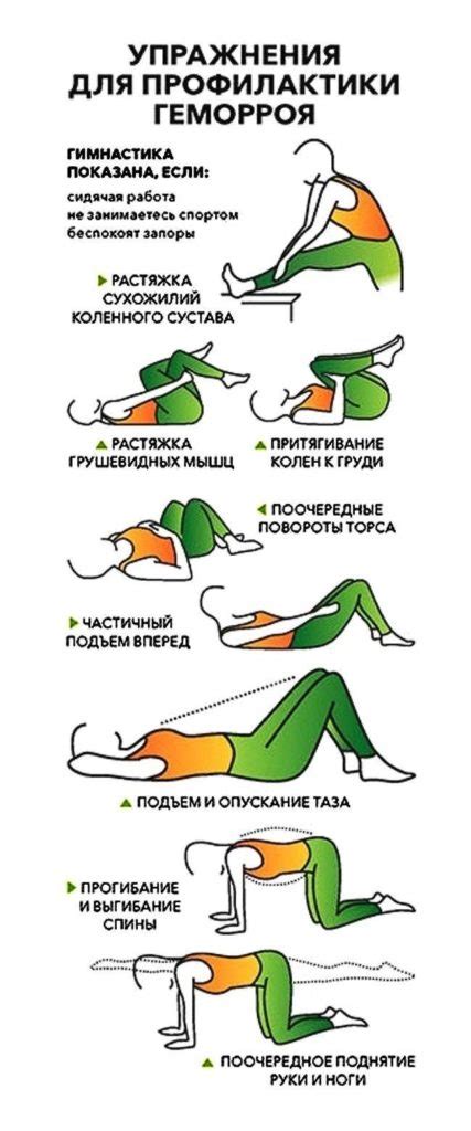 Полезные советы для профилактики геморроя