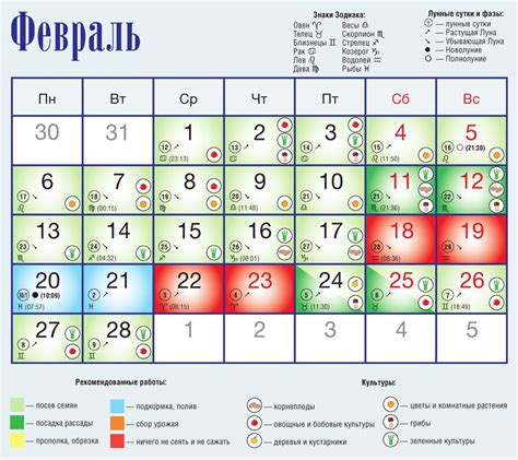 Полезные советы для формирования даты отчета