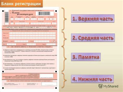 Полезные советы и инструкции для освоения код курса