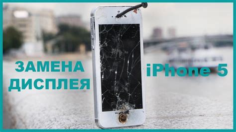 Полезные советы и рекомендации при замене дисплея на iPhone