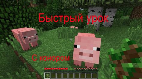 Полезные советы по изменению обзора в Minecraft на телефоне