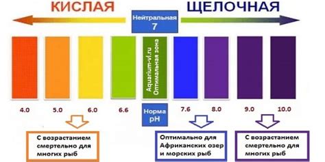 Полезные советы по изменению pH воды в аквариуме