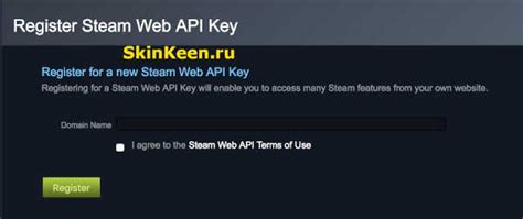 Полезные советы по использованию API ключа Steam