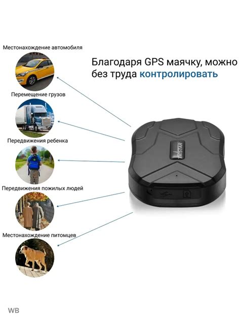 Полезные советы по использованию GPS маяка для собаки