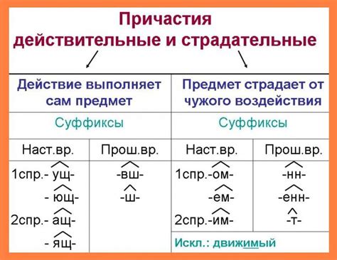 Полезные советы по определению времени у деепричастия