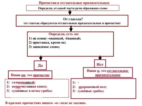 Полезные советы по определению причастий