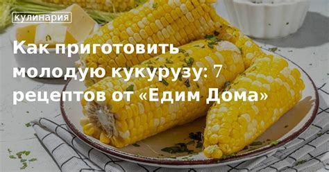 Полезные советы по приготовлению кукурузы на гриле в духовке