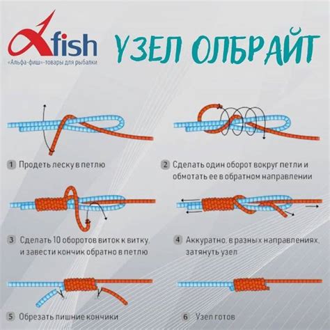 Полезные советы по связыванию лесок узлом морковка