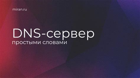 Полезные советы по установке DNS на Android: