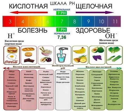 Полезные советы по уходу за кислой почвой