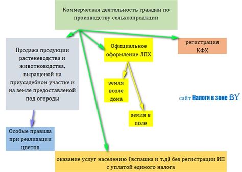 Полезные советы при оформлении ЛПХ и получении субсидии