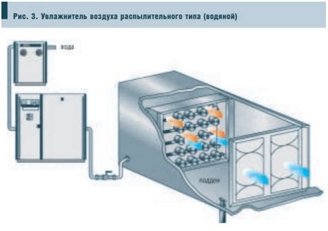 Полив и увлажнение: основные моменты