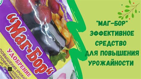 Полисветан: новое средство для повышения урожайности