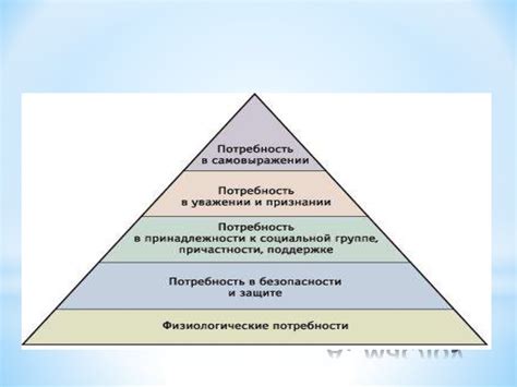 Политика и экономические соображения