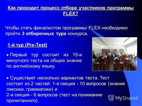 Политические причины закрытия программы Flex