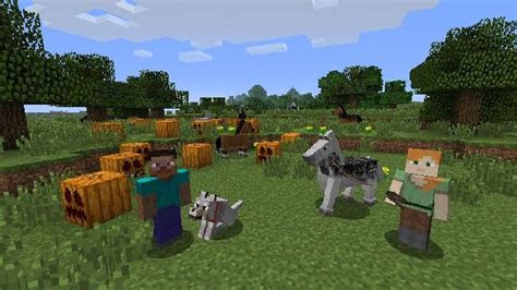 Полное руководство по удалению всех животных в Minecraft командой