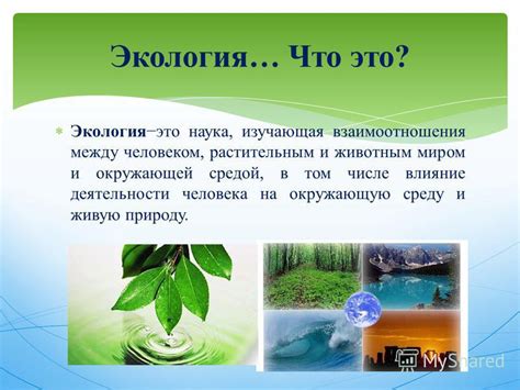 Полное слияние с окружающей средой: почему это важно для человека